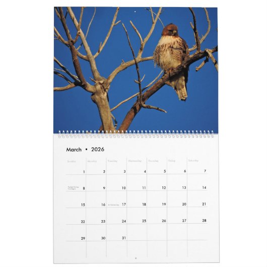 2026 Raptor Rapture カレンダー (3月 2026)