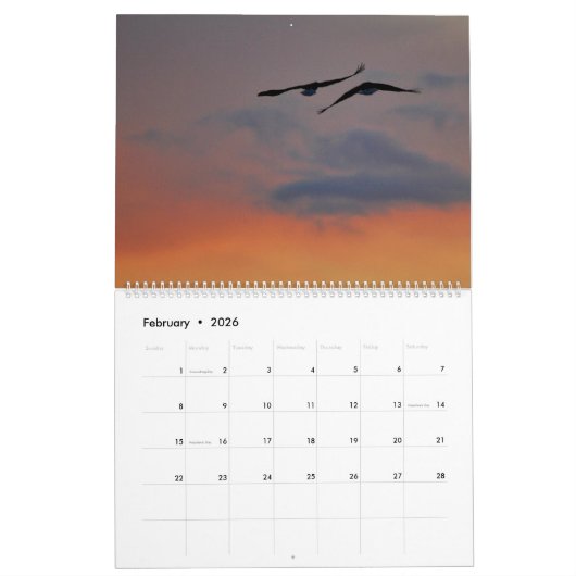 2026 Raptor Rapture カレンダー (2月 2026)