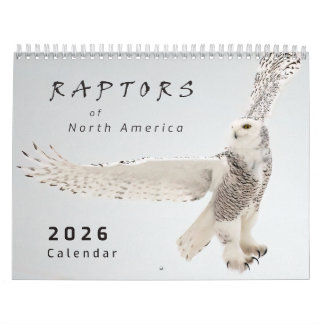 2026 Raptors of North America Bid Photo Calendar カレンダー