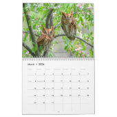 2026 Raptors of North America Bird Photo Calendar カレンダー (3月 2026)