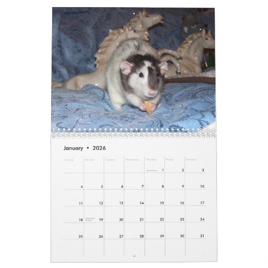 2026 RATS of the Rodent Reader Calendar B カレンダー (1月 2026)