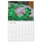 2026 RATS of the Rodent Reader Calendar B カレンダー (3月 2027)