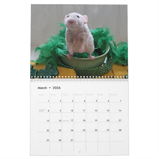 2026 Rats of The Rodent Reader Calendar G カレンダー (3月 2026)