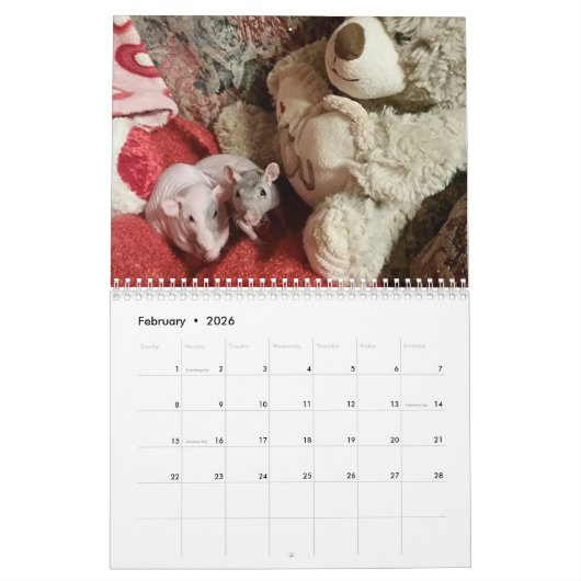 2026 Rats of The Rodent Reader Calendar G カレンダー (2月 2026)