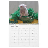 2026 Rats of The Rodent Reader Calendar G カレンダー (3月 2027)