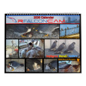 2026 Rfalconcam Calendar カレンダー (カバー)