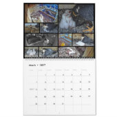 2026 Rfalconcam Calendar カレンダー (3月 2027)