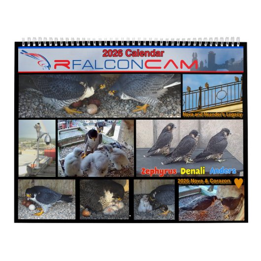 2026 Rfalconcam Calendar カレンダー (カバー)