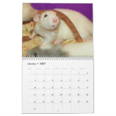 2026 Rodent Reader Calendar H カレンダー (1月 2027)