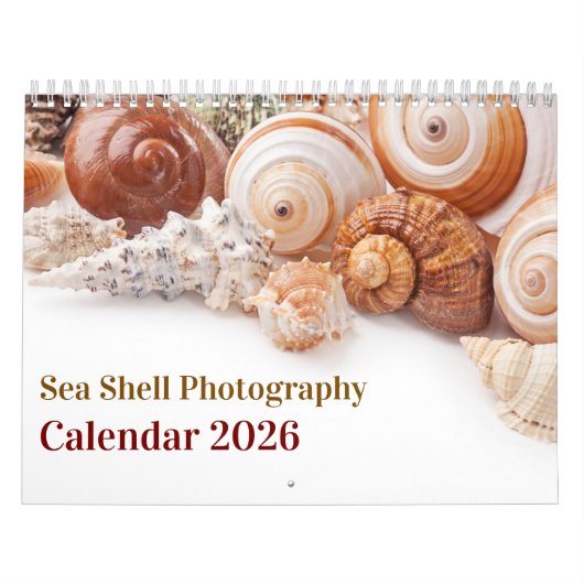 2026 Sea Shell | Coastal  Shell Photography カレンダー (カバー)