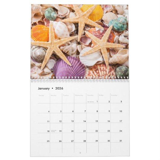 2026 Sea Shell | Coastal Shell Photography カレンダー (1月 2026)