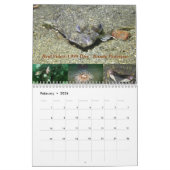 2026 SeaHorse Dive Club Photo Contest Calendar カレンダー (2月 2026)