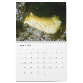 2026 SeaHorse Dive Club Photo Contest Calendar カレンダー (3月 2026)