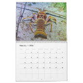 2026 SeaHorse Dive Club Tropical Diving Calendar カレンダー (2月 2026)