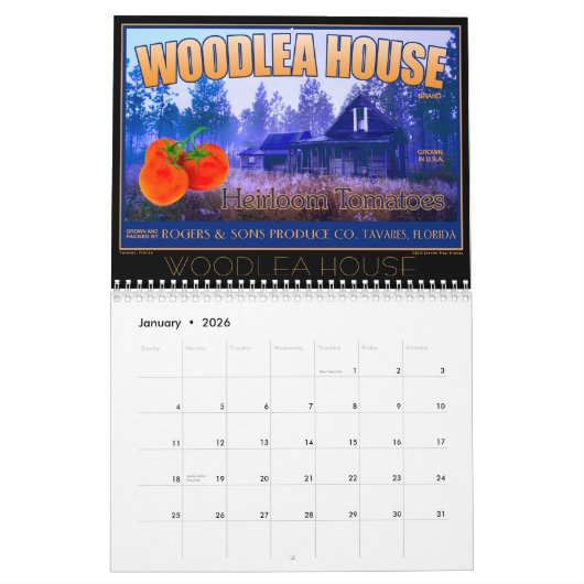 2026 Seaplanes and Citrus Calendar カレンダー (1月 2026)