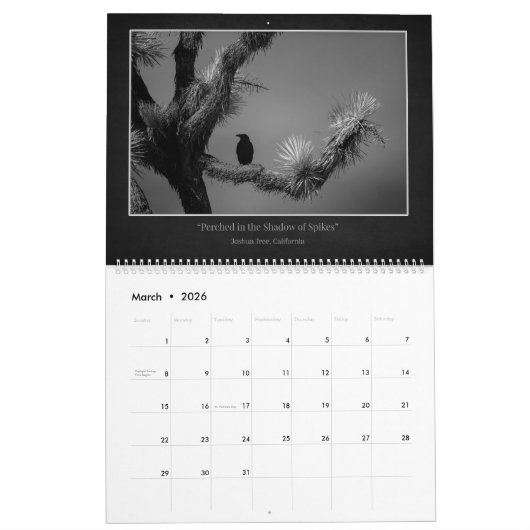 2026 Shades of Light & Shadow Calendar カレンダー (3月 2026)