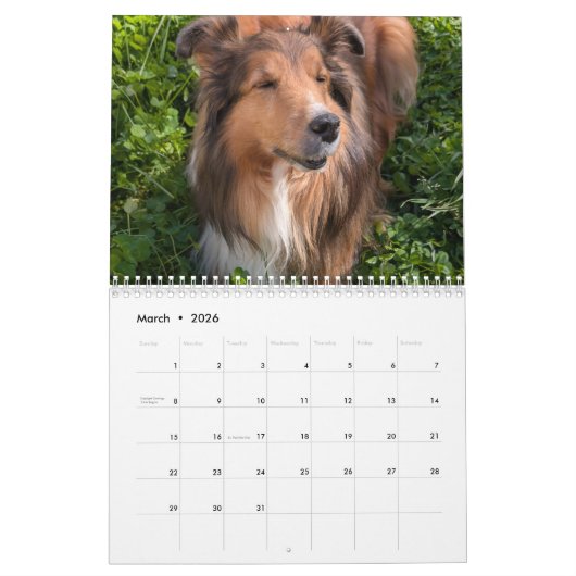 2026 Sheltie Calendar カレンダー (3月 2026)