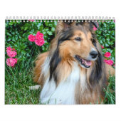 2026 Sheltie Calendar カレンダー (カバー)