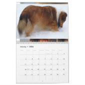 2026 Sheltie Calendar カレンダー (1月 2026)