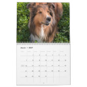 2026 Sheltie Calendar カレンダー (3月 2027)