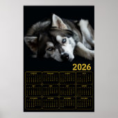 2026 Siberian Husky Calendar  ポスター (正面)