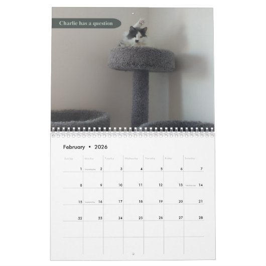 2026 silly cat Calendar カレンダー (2月 2026)