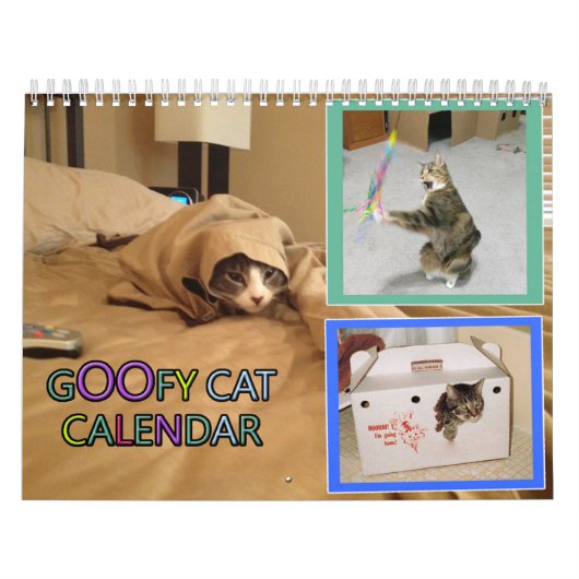 2026 silly cat Calendar カレンダー (カバー)