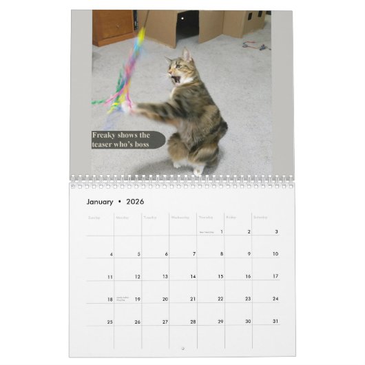 2026 silly cat Calendar カレンダー (1月 2026)