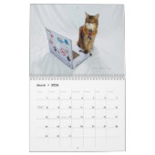 2026 Somali Cat Calendar Featuring Summer Samba カレンダー (3月 2026)