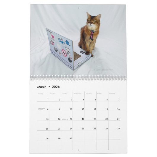 2026 Somali Cat Calendar Featuring Summer Samba カレンダー (3月 2026)
