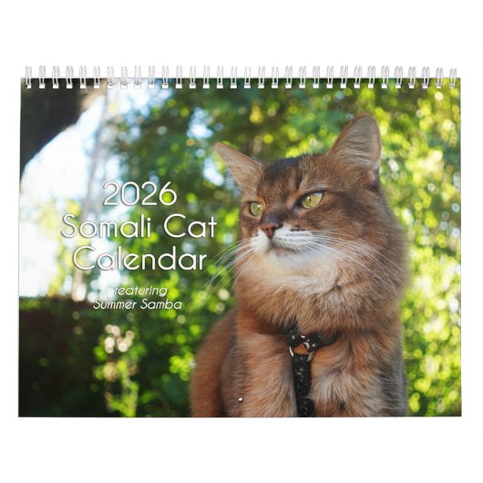 2026 Somali Cat Calendar Featuring Summer Samba カレンダー (カバー)