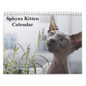 2026 Sphynx Kitten カレンダー (カバー)