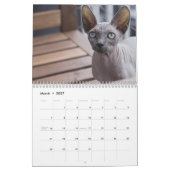 2026 Sphynx Kitten カレンダー (3月 2027)