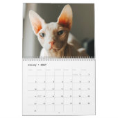 2026 Sphynx Kitten カレンダー (1月 2027)