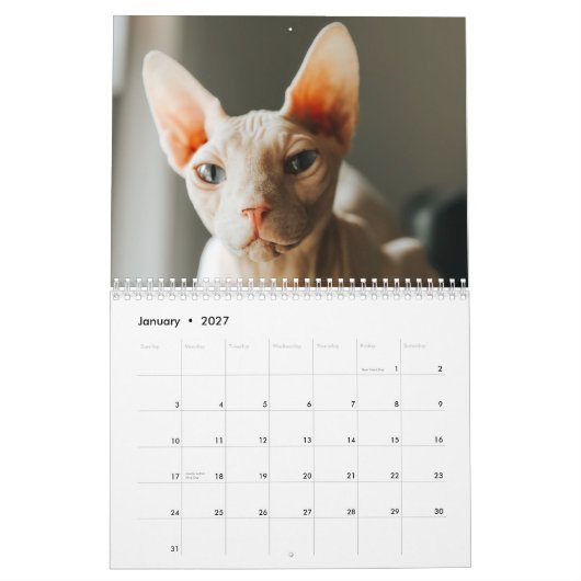 2026 Sphynx Kitten カレンダー (1月 2027)