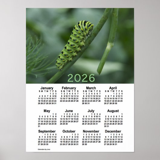 2026 Swallow Tail Caterpillar Calendar by Janz ポスター (正面)