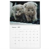 2026 Sweet Scottish Fold Cat Lover Owners Gift カレンダー (2月 2027)
