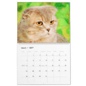 2026 Sweet Scottish Fold Cat Lover Owners Gift カレンダー (3月 2027)