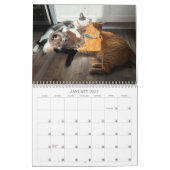 2026 TCF and Friends Calendar カレンダー (1月 2027)
