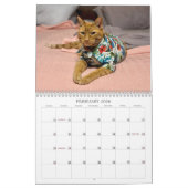 2026 TCF and Friends Calendar カレンダー (2月 2026)