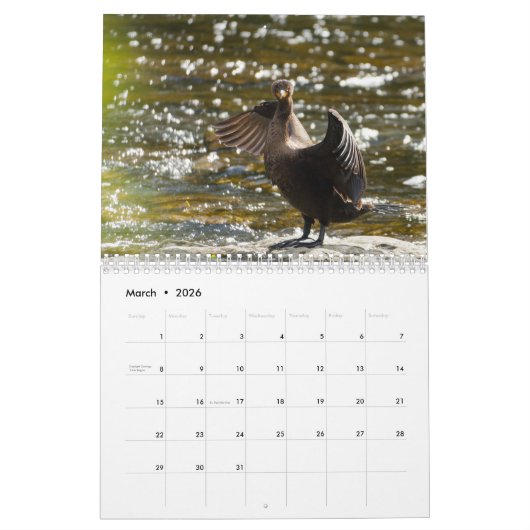 2026 The Seated View Calendar カレンダー (3月 2026)