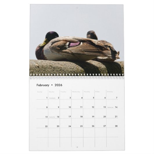 2026 The Seated View Calendar カレンダー (2月 2026)