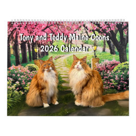 2026 Tony and Teddy Maine Coons Calendar カレンダー