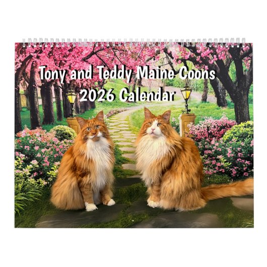 2026 Tony and Teddy Maine Coons Calendar カレンダー (カバー)