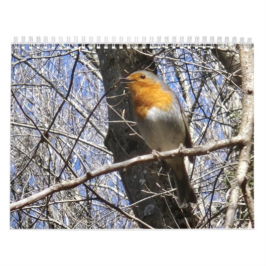 2026 Travel Notes Calendar カレンダー (カバー)