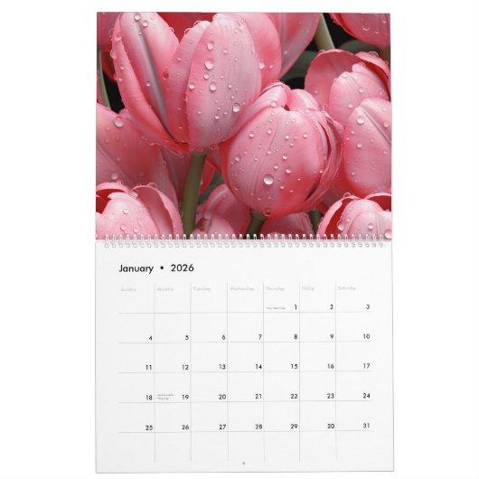 2026 Tulips Wall Calendar カレンダー (1月 2026)