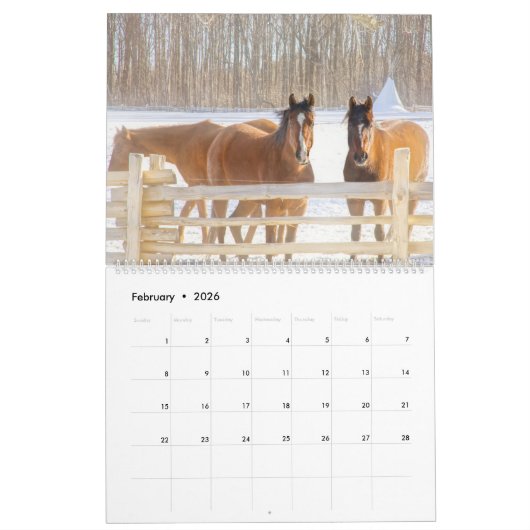 2026 Vermont Calendar カレンダー (2月 2026)