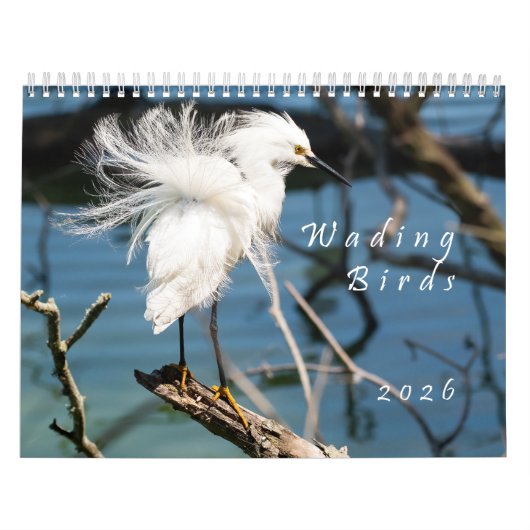 2026 Wading Birds Original Photo Calendar カレンダー (カバー)