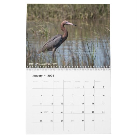 2026 Wading Birds Original Photo Calendar カレンダー (1月 2026)