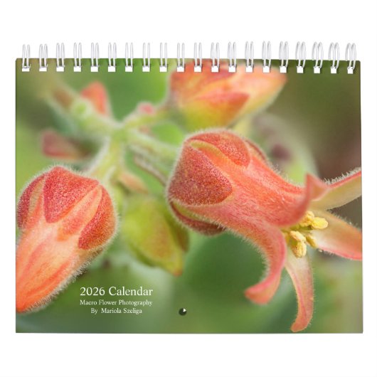 2026 Wall Calendar Flowers in Macro Photography カレンダー (カバー)